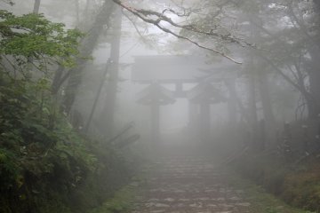 <p>Descending back down through the final gate</p>