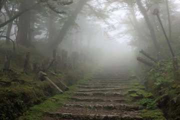<p>The final stairs to the main hall, it actually was a temple in and above the clouds on my visit</p>