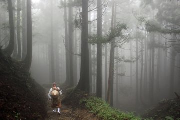 <p>A cloud forest!</p>