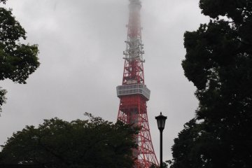 <p>Menara Tokyo menawarkan pemandangan Tokyo yang menakjubkan dari 2 dek observasinya.</p>
