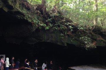 <p>Underneath the forest, waiting in line for the ice cave entrance</p>