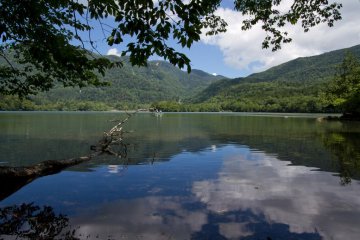 <p>Great reflections</p>