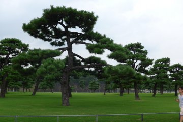 <p>Rute sepeda sejalur dengan bagian dari Imperial Garden.</p>