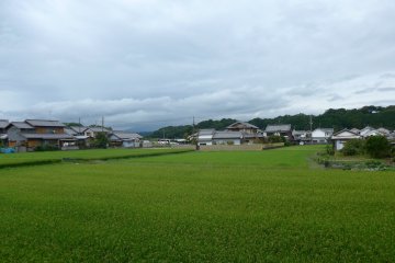 Menggunakan Kartu Pass Kintetsu