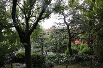 View of the garden from the hall