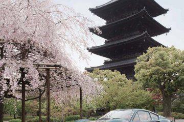 <p>Rally Nippon 2015 dimulasi dari kuil Toji di Kyoto!</p>