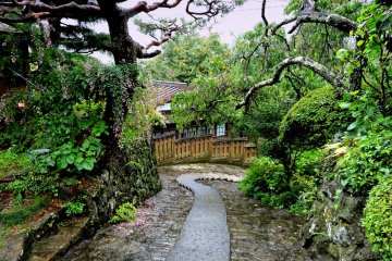 Beautiful even in the rain