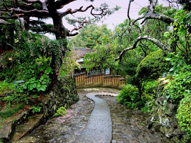 Beautiful even in the rain
