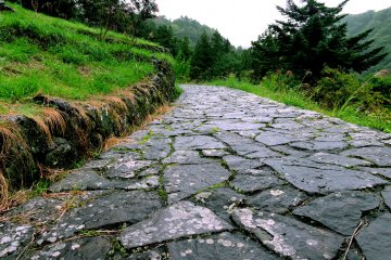 Rough paving stone path leading upward