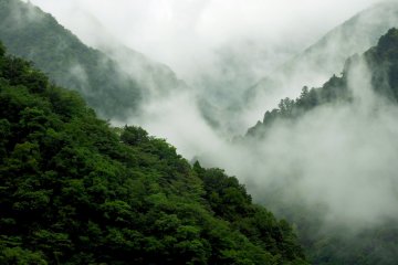 Clouds in the folds of nearby mountains