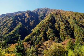 Mountain showing a touch of color as the trees start to turn in early autumn