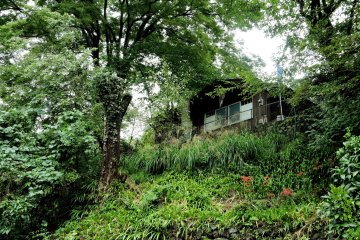 <p>Musashiya now houses a soba restaurant - the only restaraunt in Akasawa-juku</p>