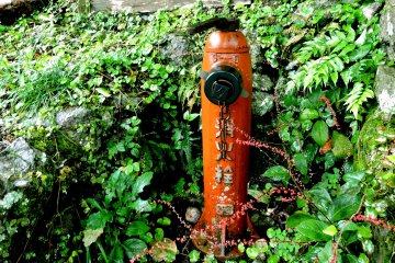 <p>A reminder that fire is a constant threat to these precious old wooden buildings</p>