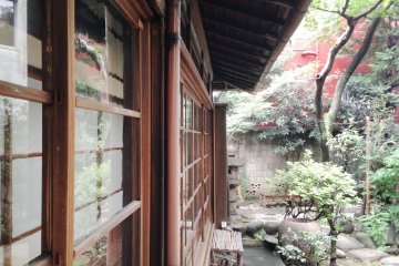 <p>Garden view from inside.</p>