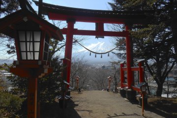 <p>Vue sur le Mont Fuji depuis le torii du sanctuaire Arakura Sengen</p>
