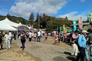 The fair ground next to the main canape