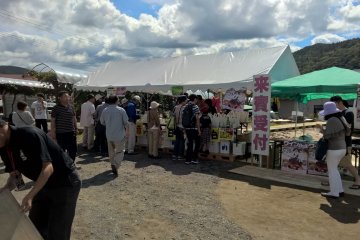 People lining up to buy the sample pack of Edel Wine