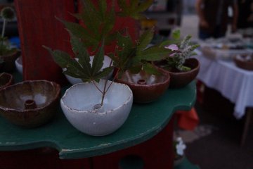 <p>Ikebana, atau seni merangkai bunga, sangat diminati di festival ini</p>