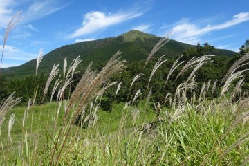 Awal Musim Gugur di Gunung Aso