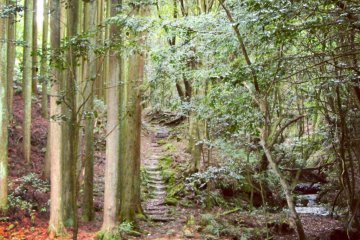 Seseragi trail