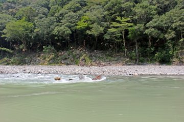 <p>Saat itu perahu Kawasemi datang dan berhenti di air jeram dengan cepat</p>
