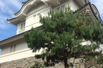 <p>Otaki Castle costs 500 yen to go inside. The outside garden area is free.</p>