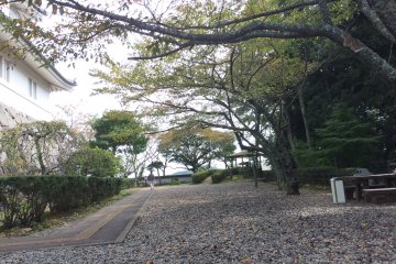 <p>Take a walk in the rock garden.</p>