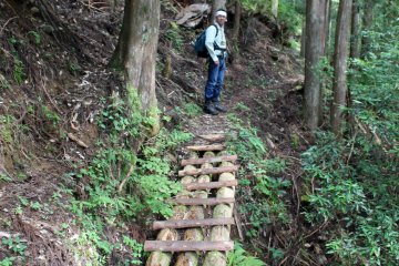 <p>A log and plank bridge near the trailhead</p>