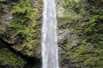 <p>The Myojin no Taki Waterfall from head on</p>