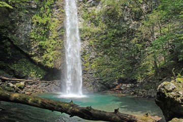 <p>The Myojin no Taki and the diving log</p>