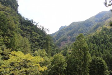 <p>The view from a clear point on the trail &nbsp;</p>