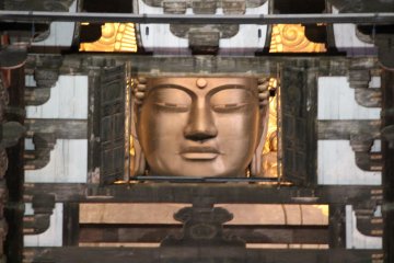 <p>Budha di jendela</p>