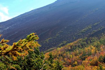 The upper slopes of Mount Fuji are a dark wasteland of volcanic gravel