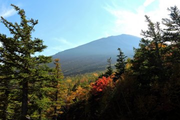 From certain points you can see the peak of Mount Fuji