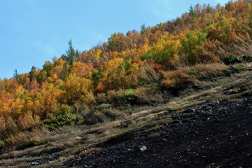 The treeline ends at the 5th station, giving way to loose volcanic gravel