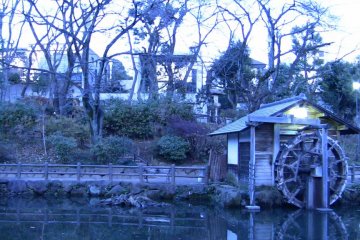 Dusk greets Shoto Park