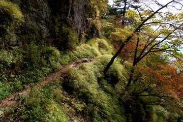 <p>The hike to the mountain lodge follows a beautiful varied path</p>