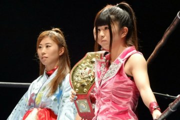 <p>Titles, storylines, and fierce competition</p>