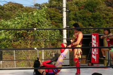 <p>Setting up a finishing move</p>