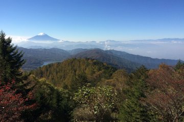 Mt. Fuji In Autumn