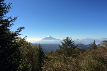 <p>Out from the trees come Mt. Fuji.</p>