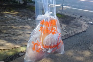 <p>My bag of pears</p>