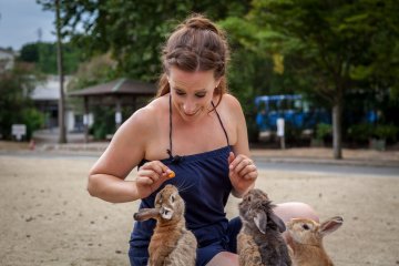 <p>Feeding bunnies</p>