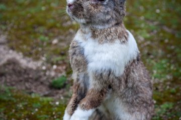 <p>Do you have something for me?</p>