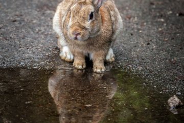 <p>Aren't I pretty?</p>