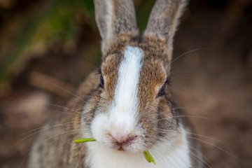 <p>Enjoying a snack</p>