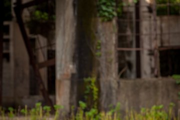 <p>Where the cute meets the morbid - bunny in front of the ruins of the poison gas factory</p>