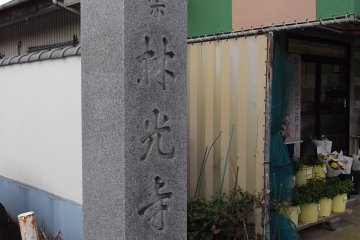 <p>This is at the entrance from the street</p>