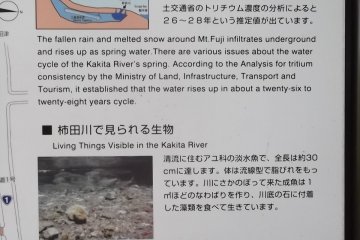 <p>There are a handful of information boards like this around the park</p>