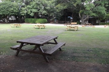 <p>Have lunch here</p>